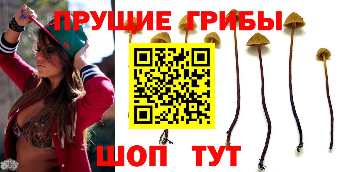Галлюциногенные грибы Magic Shrooms  Вход с VPN  Истра 